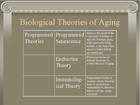 Biological Theories Of Aging Physiological Changes With Age